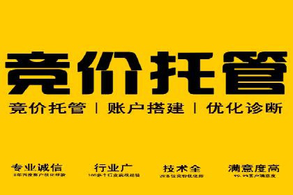 SEM优化技巧：实战案例深度剖析